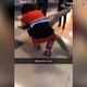 Illustration for article titled Blackhawks Mascot Gets Into A Wrestling Match With A Fan